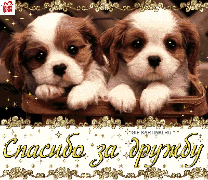Открытки Другу