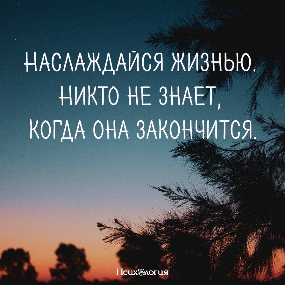 Живи и наслаждайся жизнью цитаты. Надо жить в свое удовольствие цитаты. Наслаждение цитаты. Жить в удовольствие цитаты. Наслаждение цитаты.