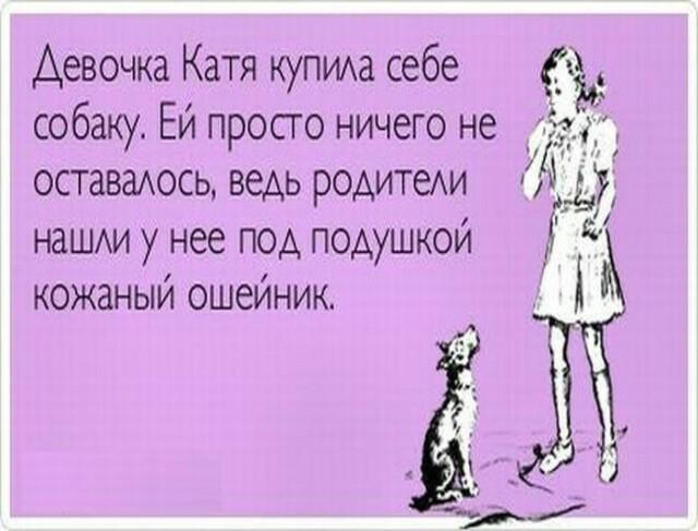 Про катю. Статусы про Катю. Статусы про Катю прикольные. Катя пост. Стихи про Катю и Лену смешные.