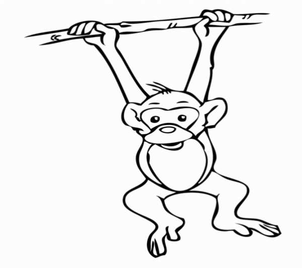 Проверочная работа житков про обезьянку 3 класс. Раскраска обезьяна по канату. Про обезьянку Житков раскраска. Японский обезьяна раскраска. Б Житков про обезьянку рисунок карандашом для детей.