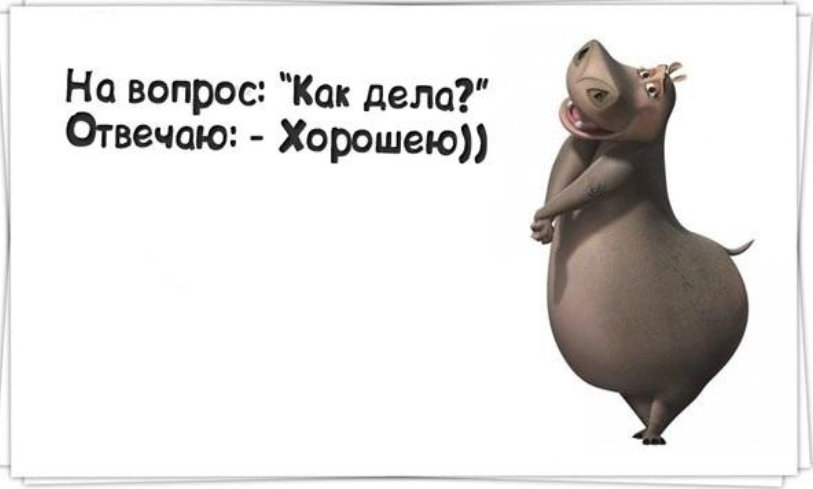 Это у вас дела. Ответ на вопрос как дела в картинках прикольные смешные. Ответы на вопросы как дела шуточные. Смешно ответить на вопрос как дела. Смешные ответы на вопрос как дела.