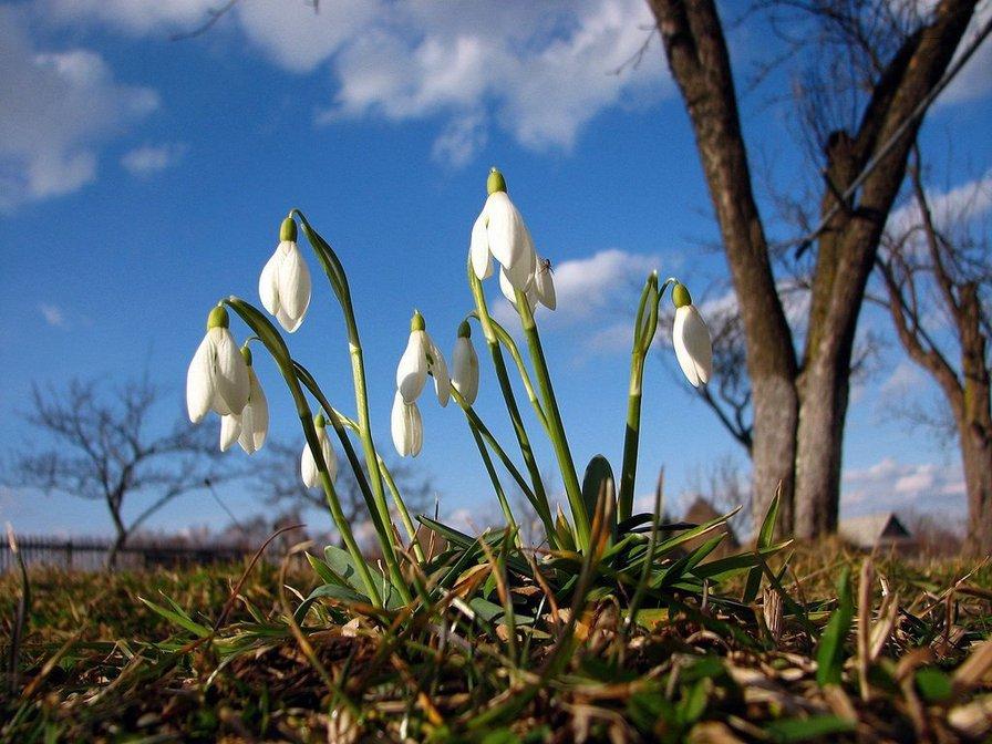 ТОП-8 сочинений на тему "Весна: свежие 2022 года (для всех классов!)