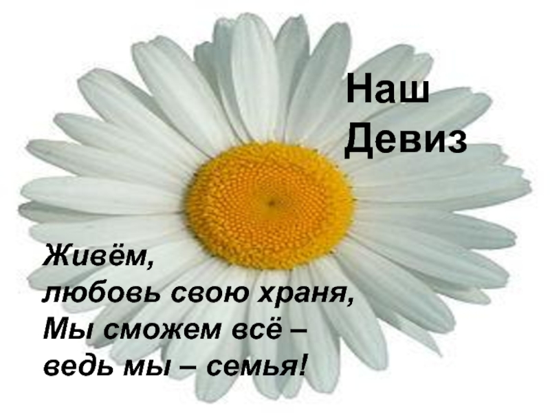 Речевка для отряда ромашка. Девиз отряда на тему семья. Речевки для команды. Жизненный девиз. Названия отряда и девиз для лагеря.