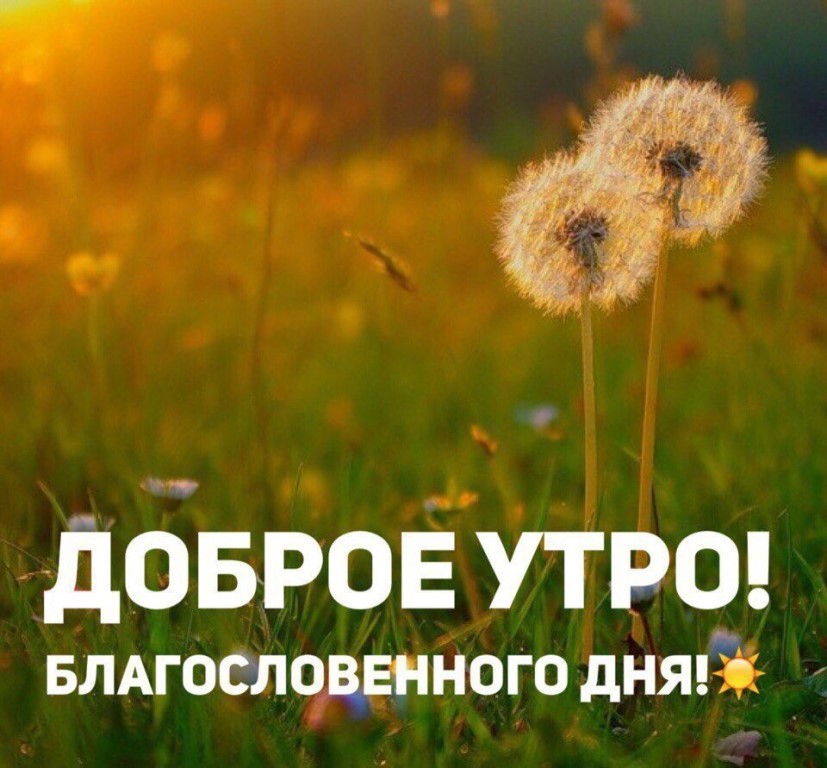 Благословенного утра и прекрасного дня картинки