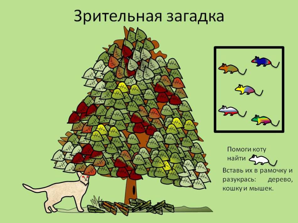 Головоломки Картинки С Ответами Для Взрослых