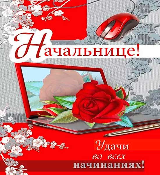 Рождения начальнице. С днем рождения начальнице почты. С днём рождения начальнице Анне. Открытки с днём рождения женщине начальнице. С днём рождения женщине начальнице Наталье.